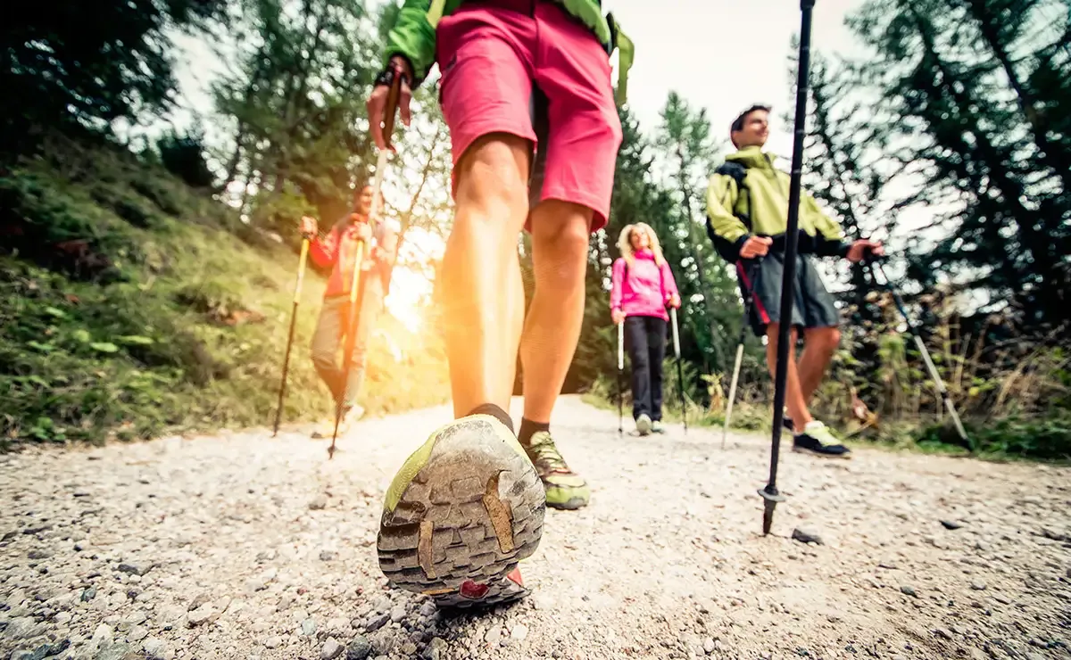 Actividades online Scias