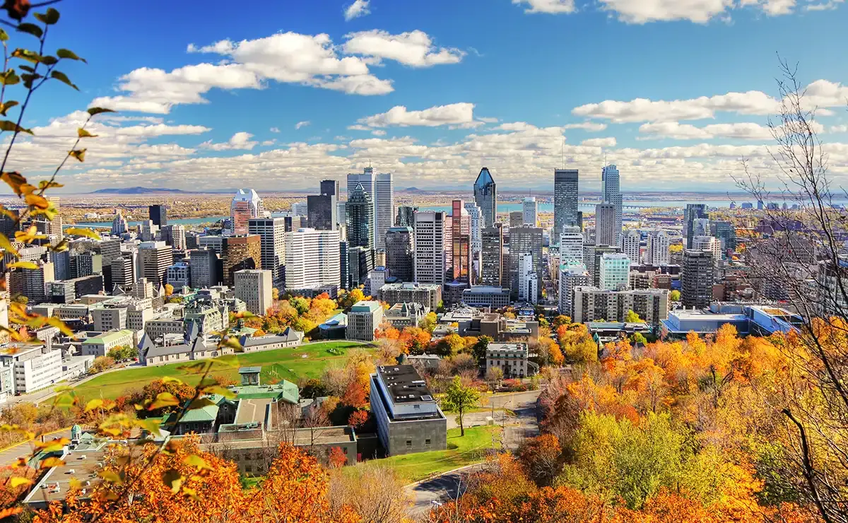 Quebec and its social economy model