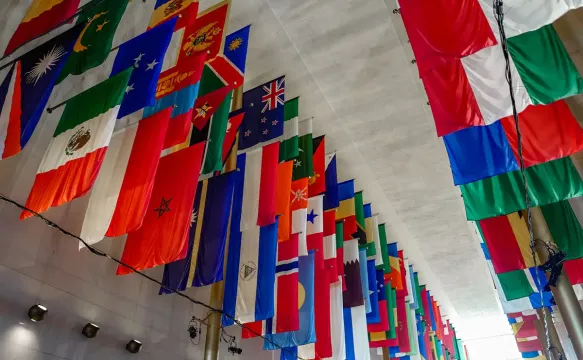 Banderas en cumbre internacional